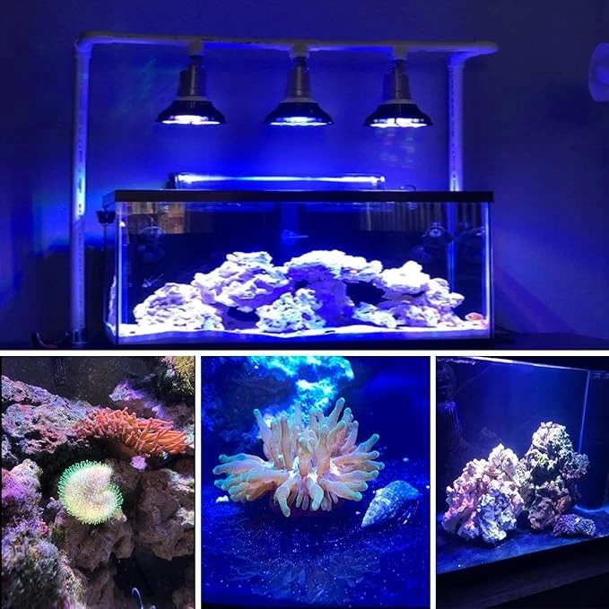 UV LED Aquarium Light UV LED Aquarium Light